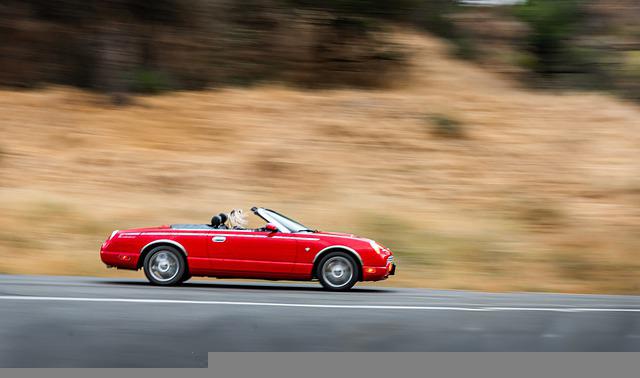Sommer-Autofahrt genießen Gebrauchte KFZ bei Zimmer